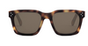 #colour_shiny-havana-polarised-brown