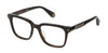 Philipp Plein VPP015M Shiny Dark Havana #colour_shiny-dark-havana