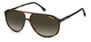 Carrera 257/S Dark-Tortoise-Brown-Gradient #colour_dark-tortoise-brown-gradient