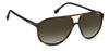 Carrera 257/S Dark-Tortoise-Brown-Gradient #colour_dark-tortoise-brown-gradient