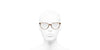CHANEL 3423 Taupe Horn #colour_taupe-horn