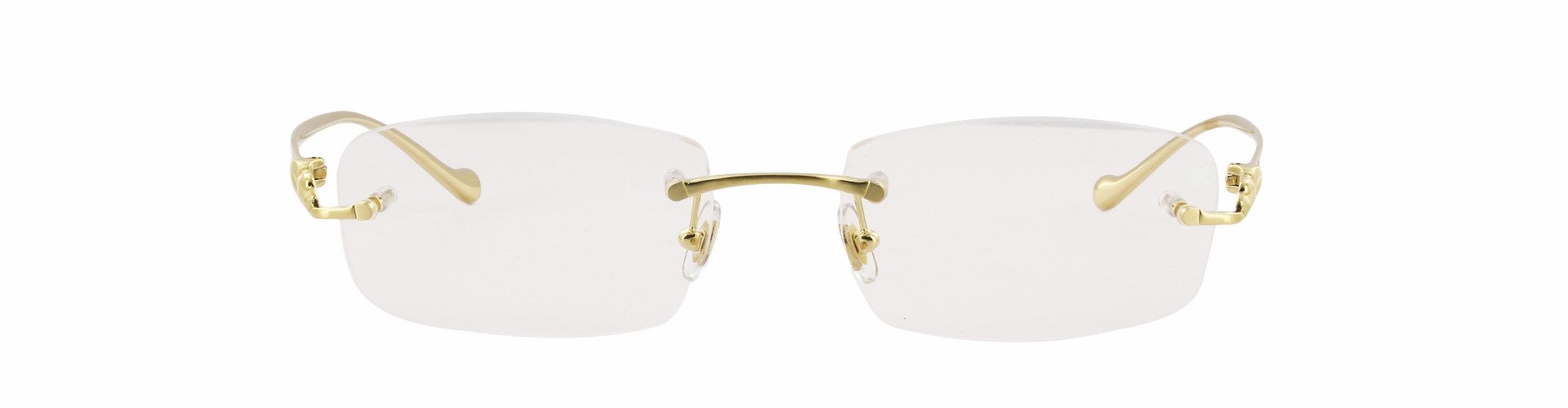 Cartier Tulliana CT0061O Rectangle Glasses Maverick Wolf