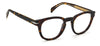 David Beckham DB1052 Dark Tortoise #colour_dark-tortoise