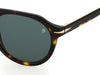 David Beckham DB7009/S Dark-Tortoise-Green #colour_dark-tortoise-green
