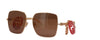 Gucci GG0724S Gold/Brown #colour_gold-brown