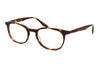 Barton Perreira James Dark-Tortoise #colour_dark-tortoise