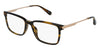 Police Lewis 09 SPLA30 Brown #colour_brown